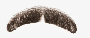 Fake Moustache Transparent Background - Real Mustache Beard Png