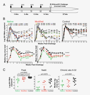 Study Design - Vaccination