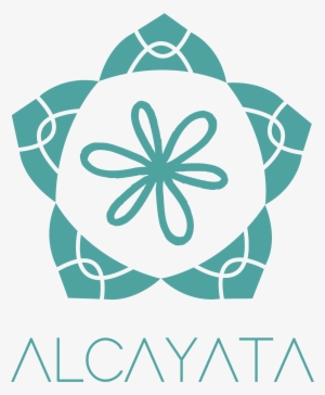 Positivo - Privacy Policy