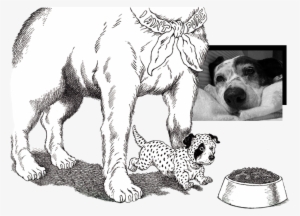 Slinky-collage - Portable Network Graphics