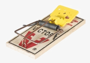 Mouse Trap Png Image - Victor Easy-set Mouse Trap, 2-pk.