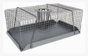 Aviary Mouse Trap - Multi Catch Mouse Trap Small