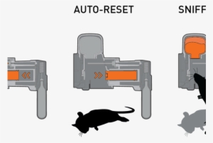 A24 Rat And Mouse Trap 5-pack Plus Supplies - Goodnature A24 Rat And Mouse Trap
