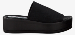 Steve Madden Black Steve Madden Flip Flops Slinky Women - Shoe