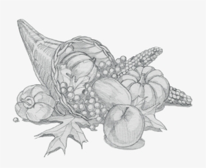 Cornucopia Sketch - Google Search - Cornucopia Sketch Png