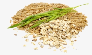 Oat Png Pluspng - La Crusca D'avena