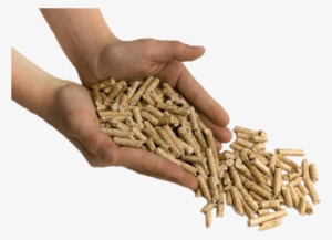 Download - Jiya Eco Products Limited