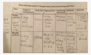 Development Observations Week - Number