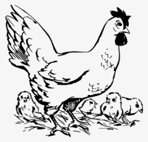 Chicken Farms In Ottawa - Chicken Clipart Black And White Png