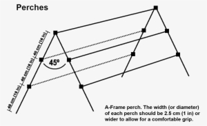 Production - Perch For Chickens