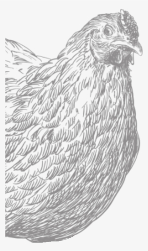 Chicken Bars - Chicken