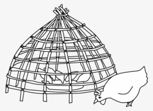 Chicken Creep - Poultry