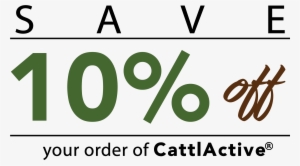 Ready To See The Results For Yourself Enter Your Name - Calligraphy