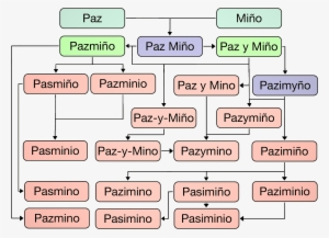 Paz Miño Surname Evolution - Ecuadorian Last Names