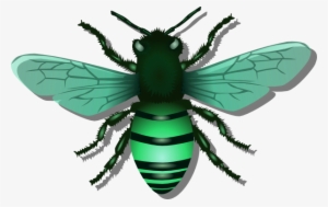 Bee Green Image - Bee Blue