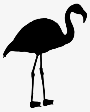 Vector Graphics,free Pictures, Free - Flamingo Preto Png
