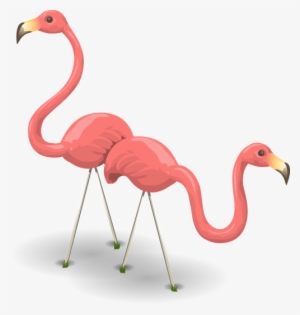 Birds,phoenicopteridae - ! Mugs