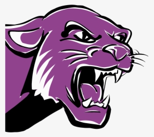 Panther-trans