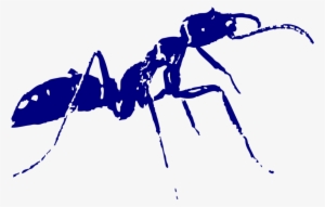 Termitas-1024x1024 - Crazy Ants