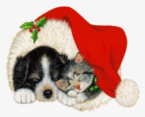 2 More Satisfied Customers A Perfect