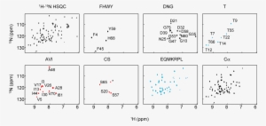 Ubiquitin - Number
