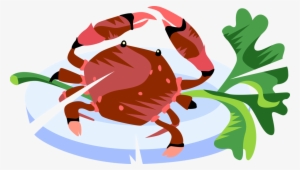 Vector Illustration Of Decapod Marine Crustacean Crab - Crab