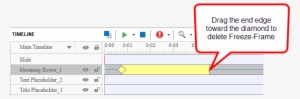 Delete Freeze-frame - Activepresenter