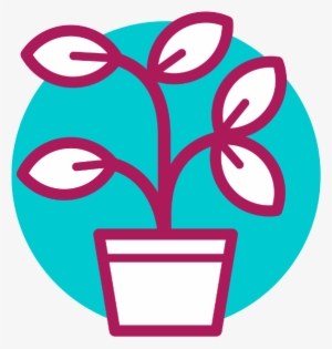 'grow Your Own' Functional Coaching