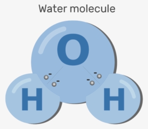 An Image Showing Polarizing Water Molecules Process - Molecule