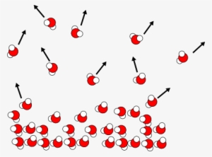 Non-equilibrium Evaporation - Evaporation Molecules