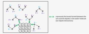 Dissolving Ionic Compound1 - Diagram