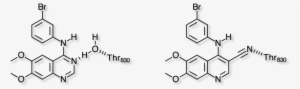 Egfligands - Diagram