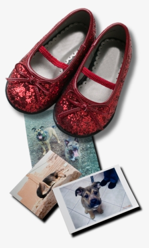 Stephanie Barden » Snippets » Both Rodents And Reviewers - Stephanie Barden