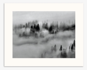 Photographers Lane Ground Fog - Art