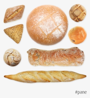 67 - Rollsystemscontactform - Sourdough