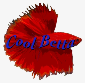 Cool Betta Logo - Illustration
