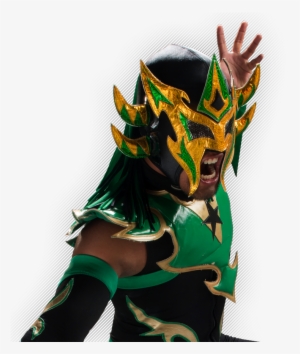 Técnico Luchador - Venum Luchador