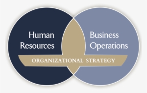 Human Resource And Organizational Development