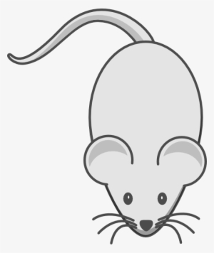 White Mouse Both Grey Ears Clip Art At Clker - Cartoon Mouse