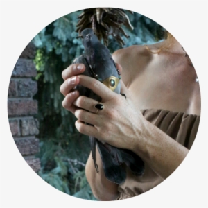 This New Moon, July 23rd, Marks The Beginning Of Leo, - News