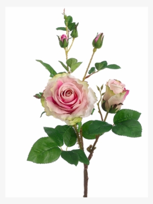 19" Rose Spray Rose Pink - 19" Handwrapped Silk Rose Flower Spray -rose/pink (pack