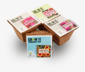 Flower Garden - Garden