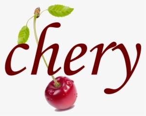 Chery De Ville - Christmas Bear Throw Blanket