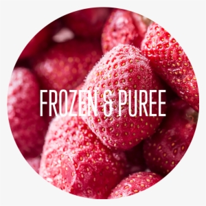 Our Products - Portable Network Graphics