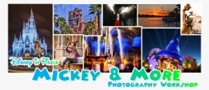 4 Jam-packed Days Of Photographing All The Magic That - Disney World, Cinderella Castle