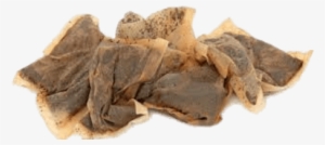 Used Tea Bags - ティー パック 捨て 方