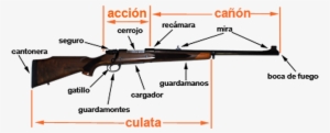 Partes De Una Escopeta - Partes De Una Carabina