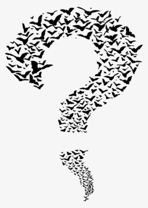 Pizi Question Mark Shirt Mens Graphic Tops - Illustration