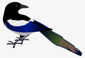 Crow Clipart Urraca - Magpie Clipart