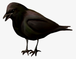 Pin By Melody Bray On Clip Art - Clip Art